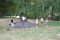 2026-08-15-cdf-0013